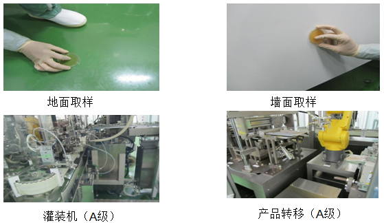 表面微生物檢測